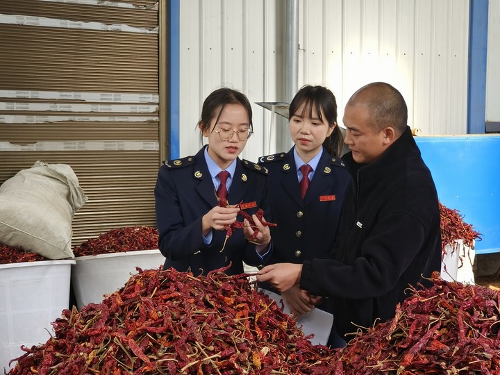 圖為大方縣稅務局工作人員在企業了解辣椒制品生產、原材料選取等工作情況。漆毓攝