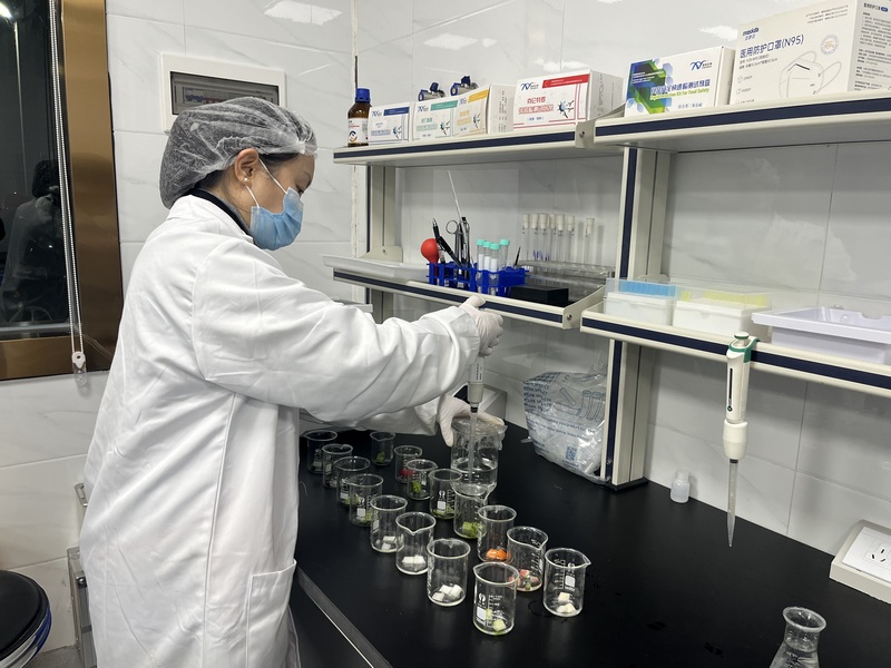 工作人员在快检室对蔬菜取样检测。