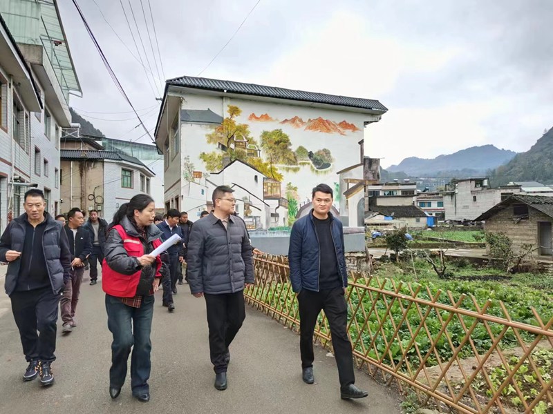 图为:集中观摩宜居农房示范点建设情况