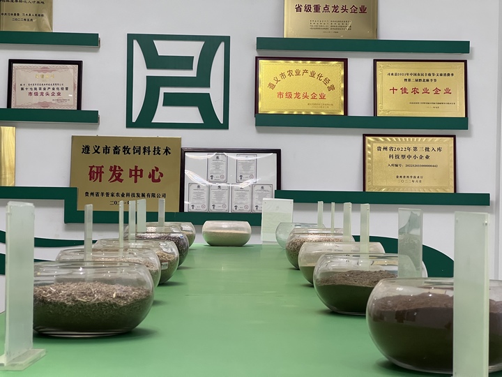 產品展示。