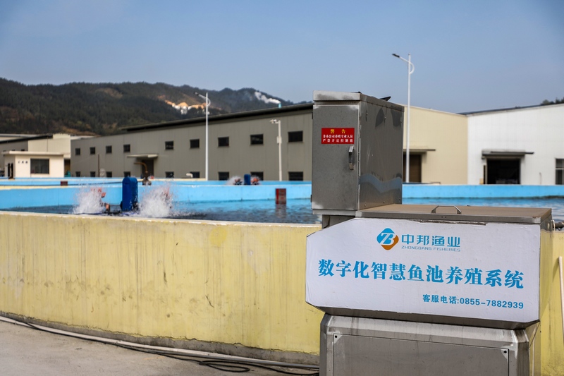 智慧养鱼系统。