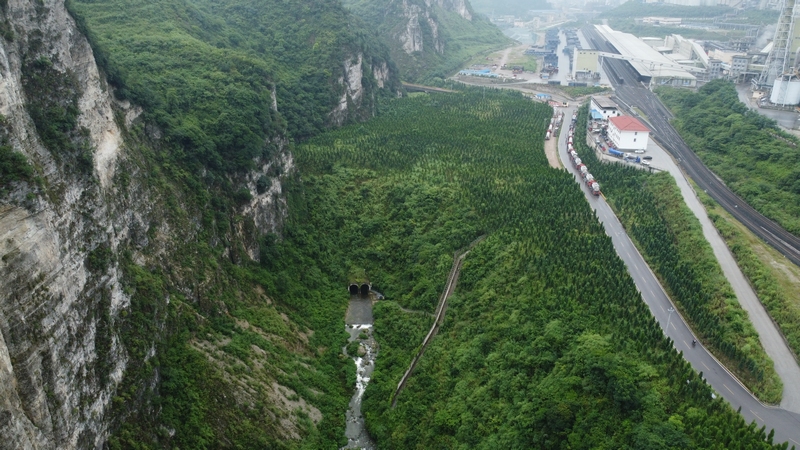 洋水河大水村河段。