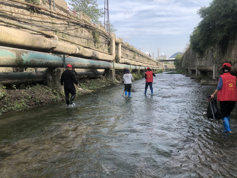 河河道进行巡护清理。