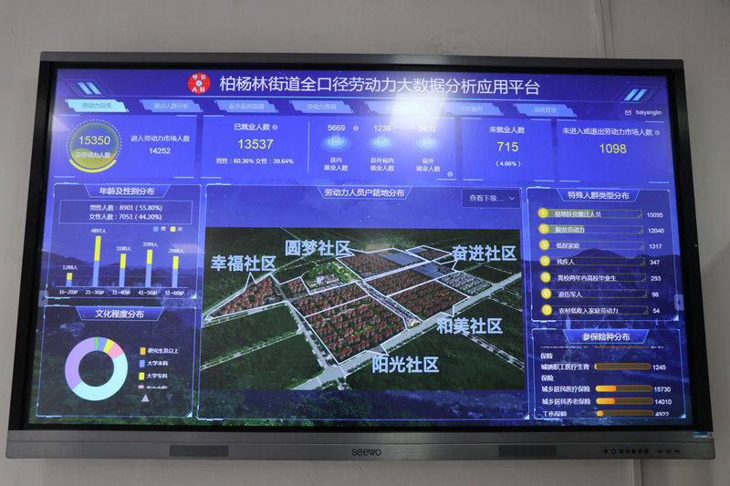 柏杨林街道劳动力大数据分析应用平台。