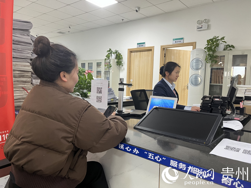 办税人在花溪区税务局办理税费业务。人民网 李丽萍摄