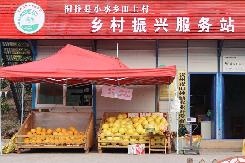 小水鄉田上村鄉村振興服務站 王裕攝.JPG