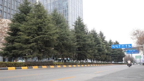 1、观山湖区黔灵山路。.jpg