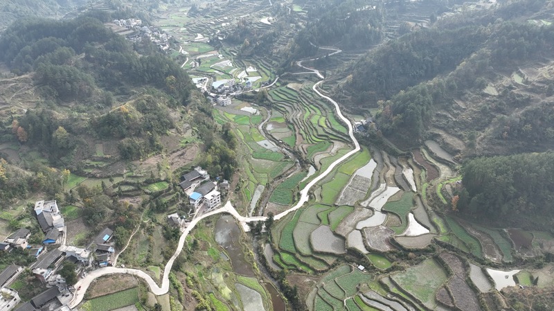 翁坪乡。