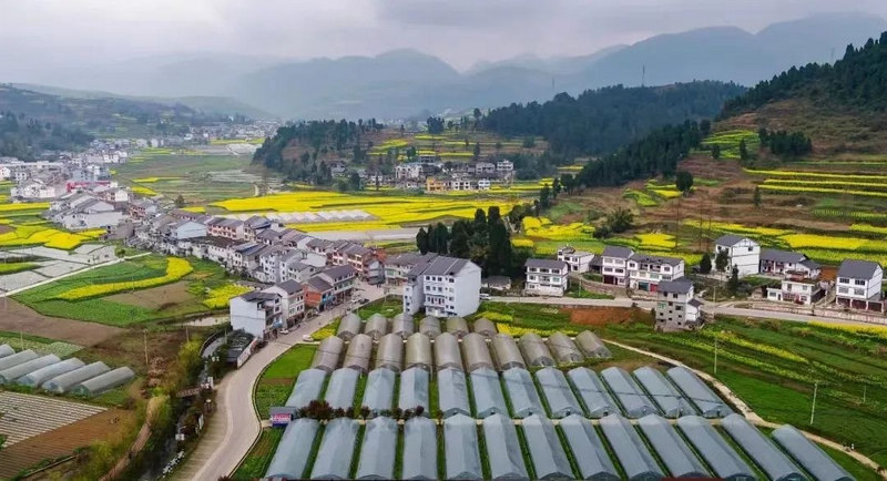 特色农业产业种植基地。