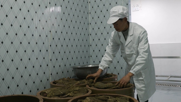 工人将放好调料的肉放入大岗中腌制。