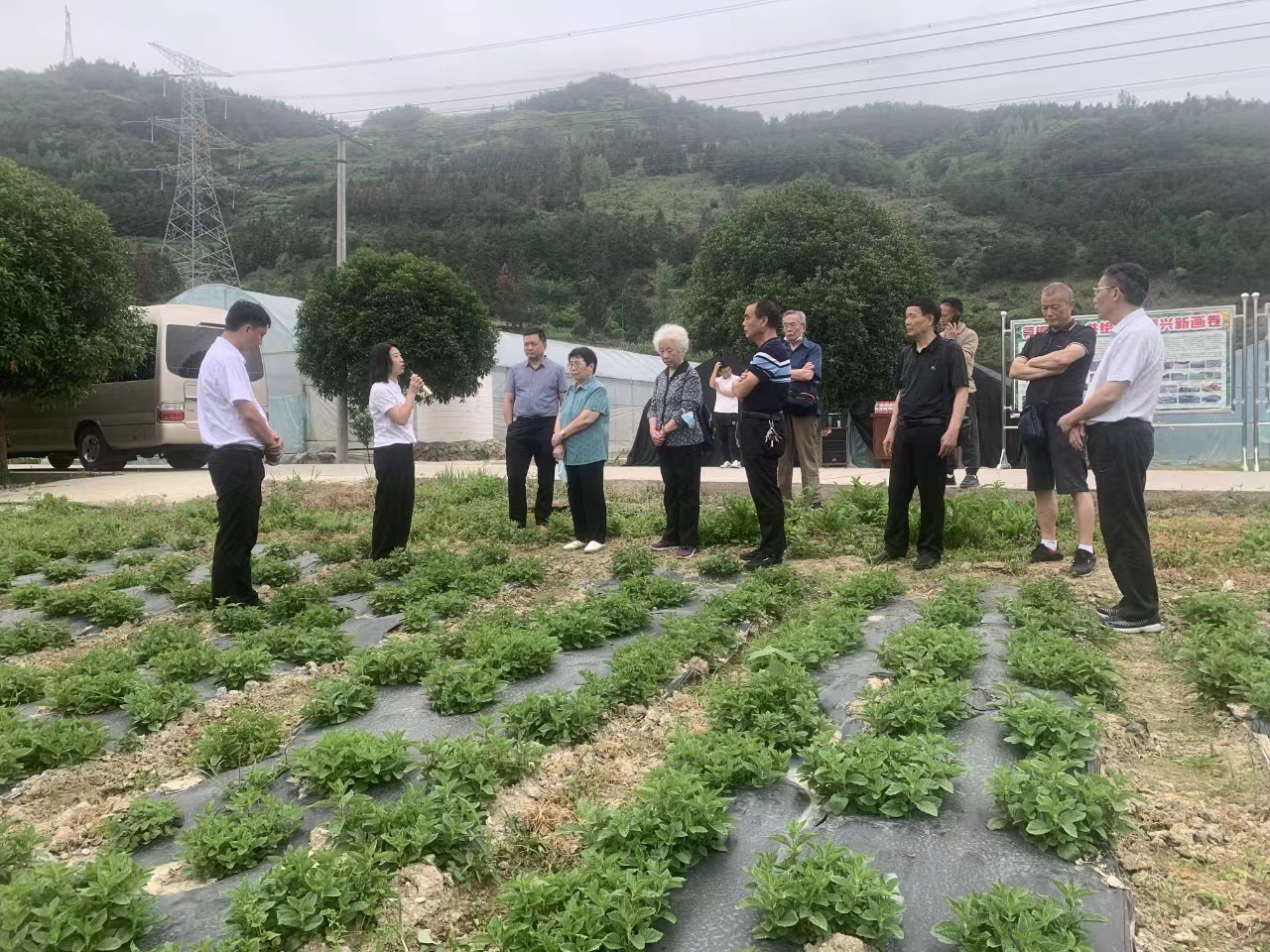 离退休老干部乡下考察。