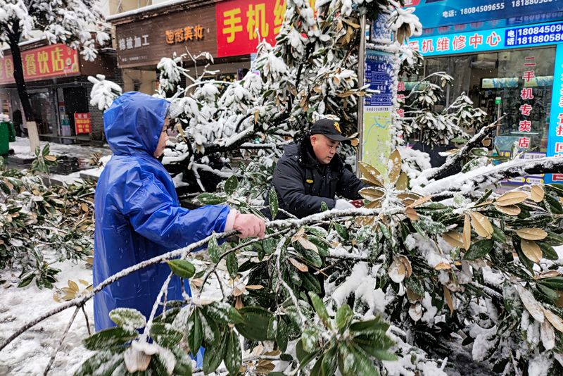 市政人员清理树枝。