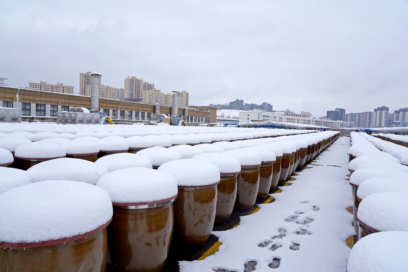 2024年1月22日，贵州省纳雍县纳味鲜食品有限公司，雪中晒酱场一角。杨英摄