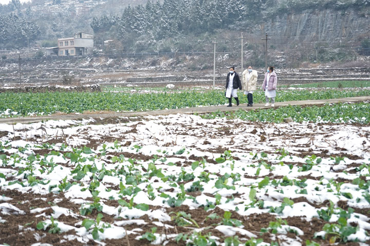 雨雪无阻送医下乡。