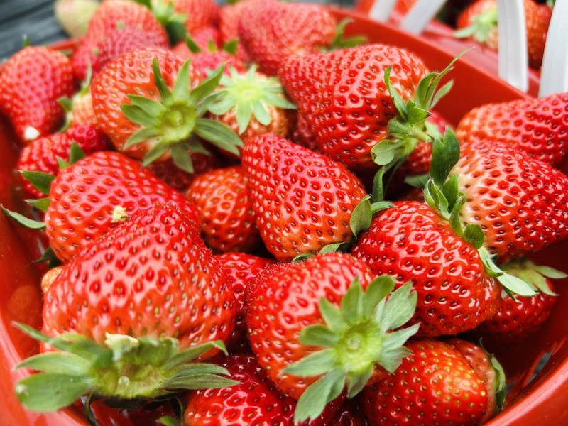 1、新鲜的草莓。.jpg
