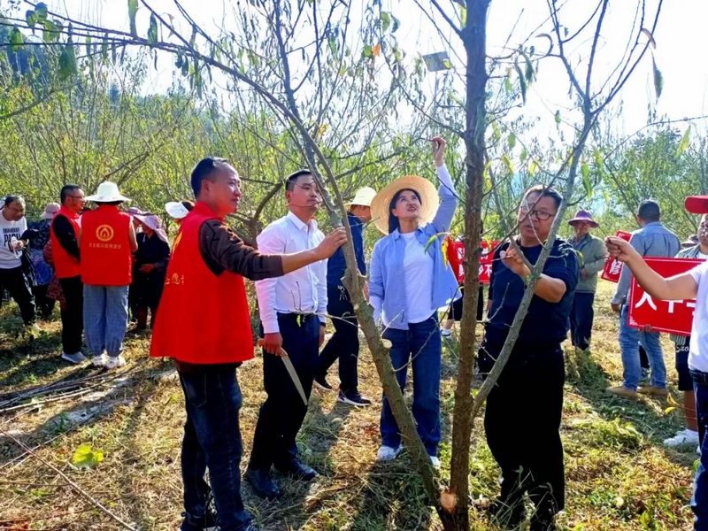 志愿者活动.jpg