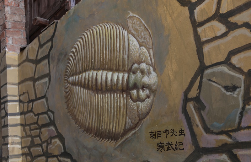 贵州省剑河县八郎古生物化石景区内的3D墙画。