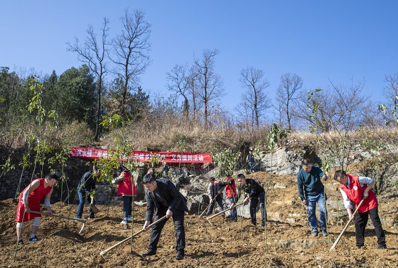 2024年2月18日，贵州省黔西市洪水镇附廓社区，当地镇村干部职工和志愿者参加义务植树活动。