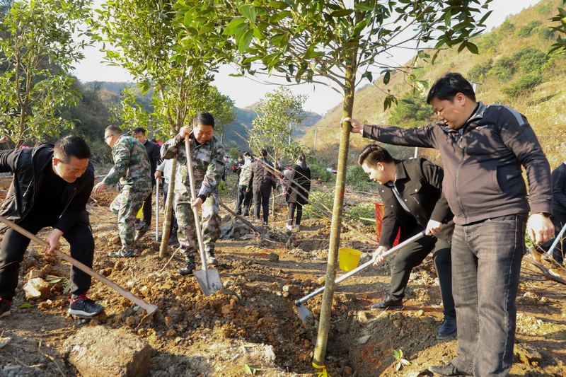 2月18日，干部職工在貴州省黔東南州劍河縣義務植樹點植樹。