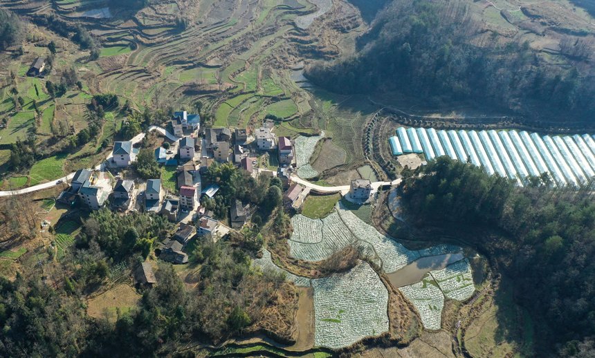 务川自治县分水镇过江社区草莓种植基地（无人机照片）。
