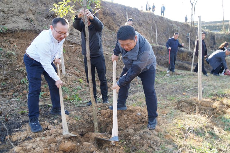 2月18日，石阡縣干部群眾正在參與義務植樹活動。魯勝杰攝