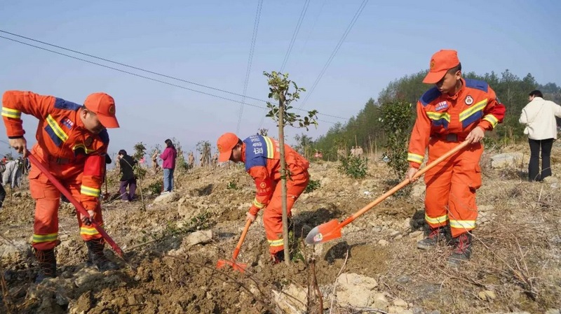 沿河县消防救援大队参与植树。