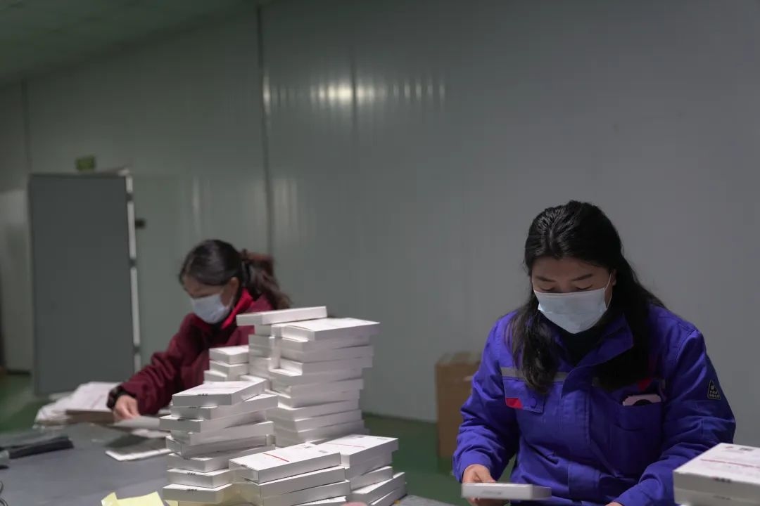 图为工人们正在包装艾产品。叶春霞摄