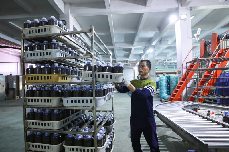 在贵州顺诚生物科技有限公司生产车间，工人们正在有序忙碌。沈泽丹摄