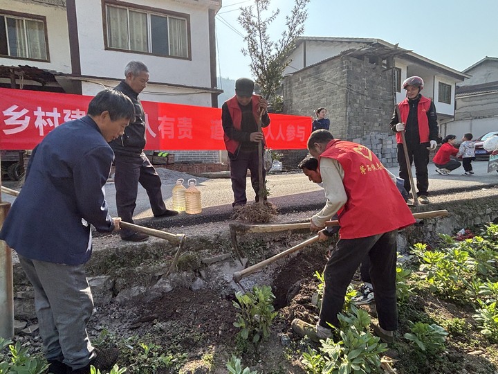 桐梓县茅石镇全民参与道路绿化。