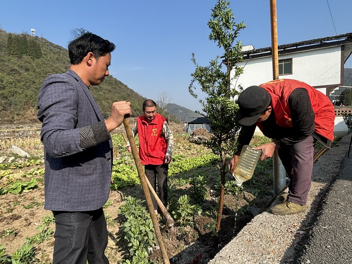桐梓县茅石镇全民参与道路绿化。