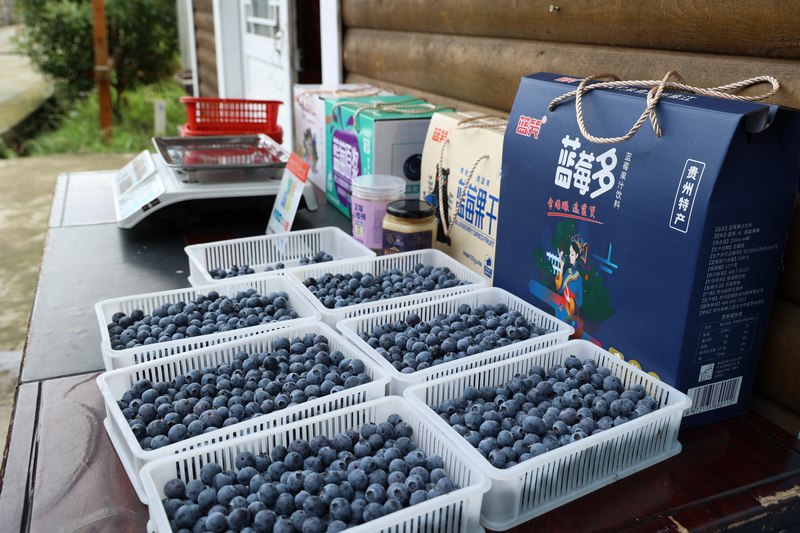 4.蓝莓系列产品。黔东南州委宣传部供图.JPG