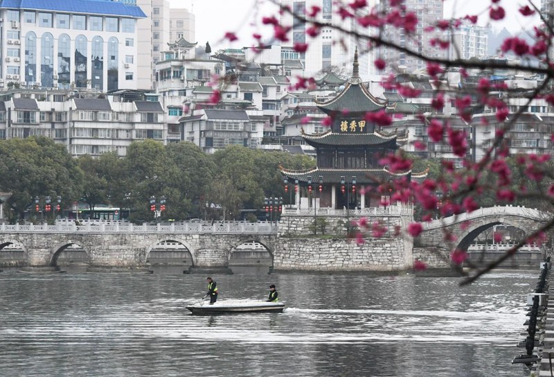 河道疏捞工人正在甲秀楼河段清理水草及水体漂浮物。