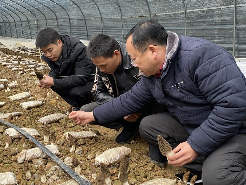 技术人员到基地指导（何敏摄）.jpg