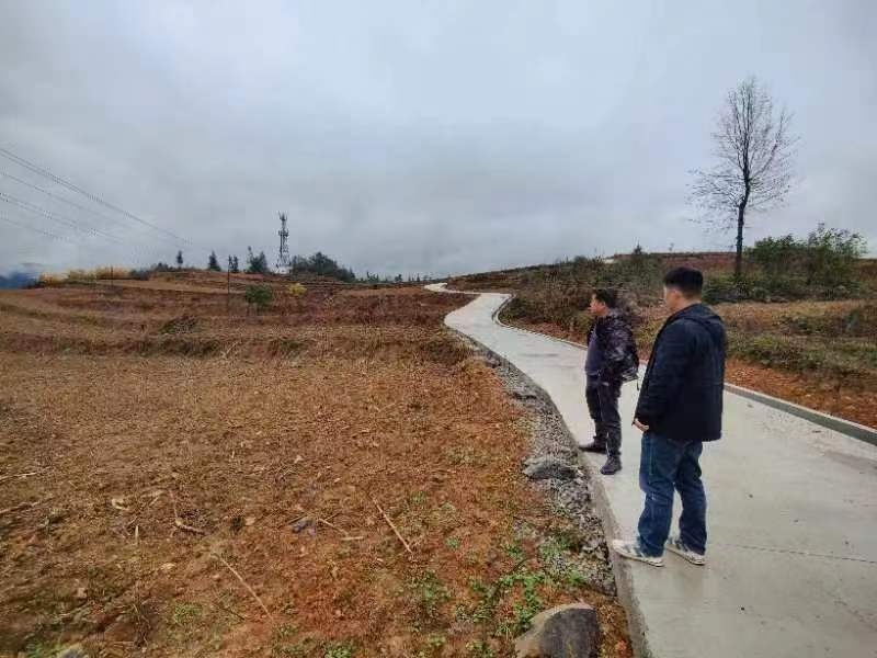 红薯苗床.jpg