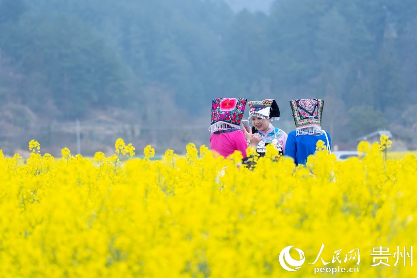 身着少数民族服饰的姑娘在油菜花中拍照。人民网记者 涂敏摄