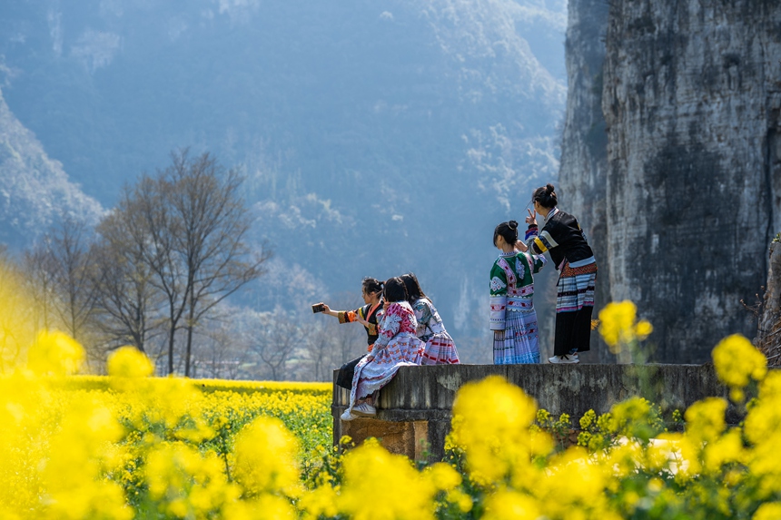 游客踏青賞花。羅大富攝