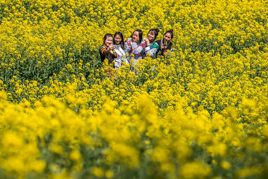 游客著民族服飾踏青賞花、拍照打卡。羅大富攝 