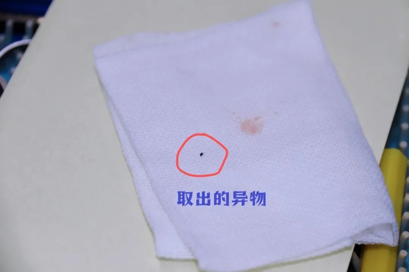 3 取出的鐵屑
