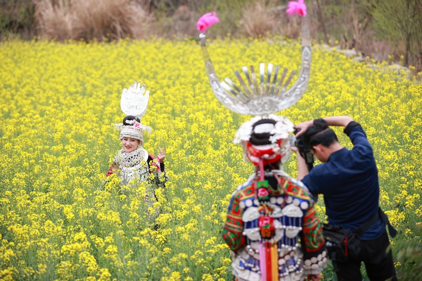 3月10日，游客在油菜花叢中游玩。楊武魁攝