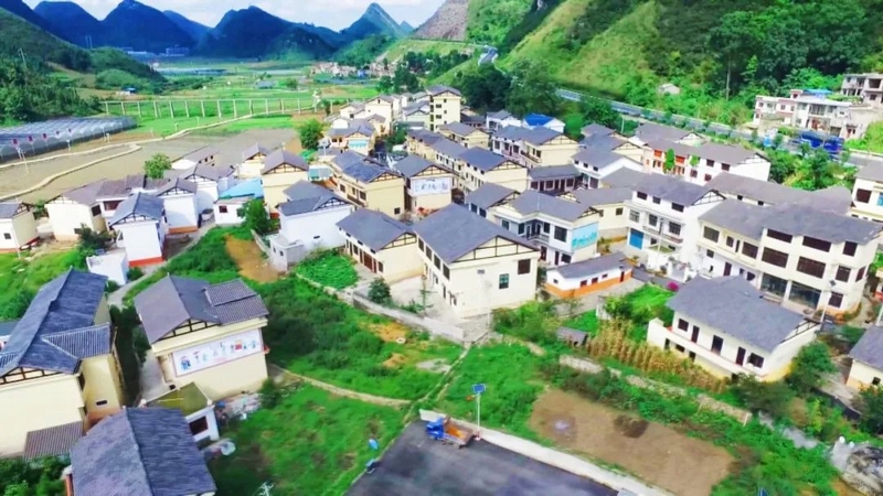 落叶新村。