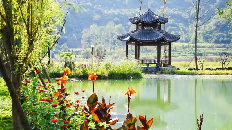 落叶新村一角。