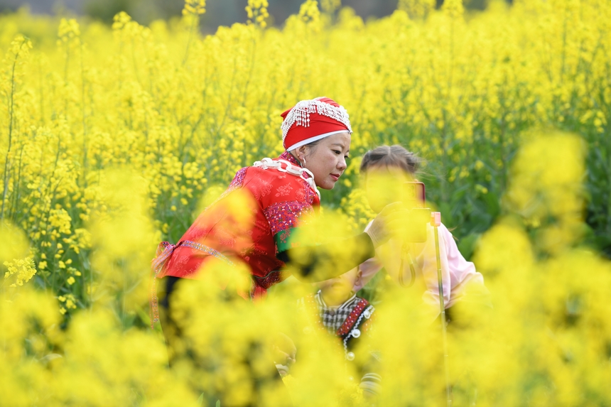 The local people dressed in national costumes took a group photo with rape flowers.