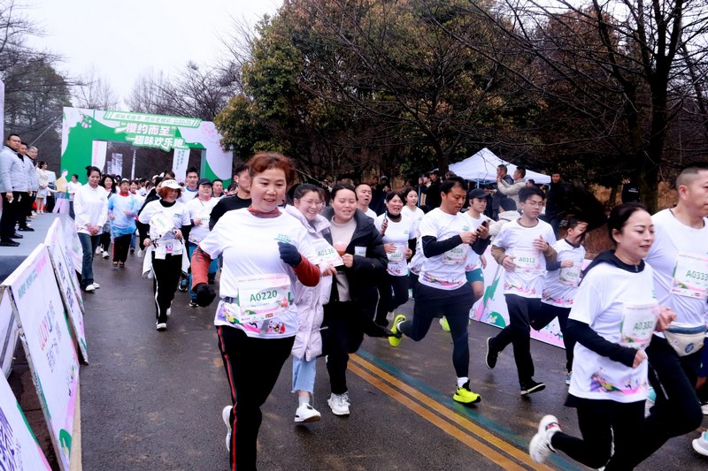 2024貴州·清鎮櫻花季系列活動“櫻約而至”趣味歡樂跑活動中，運動員沖出起跑線。楊洪金攝