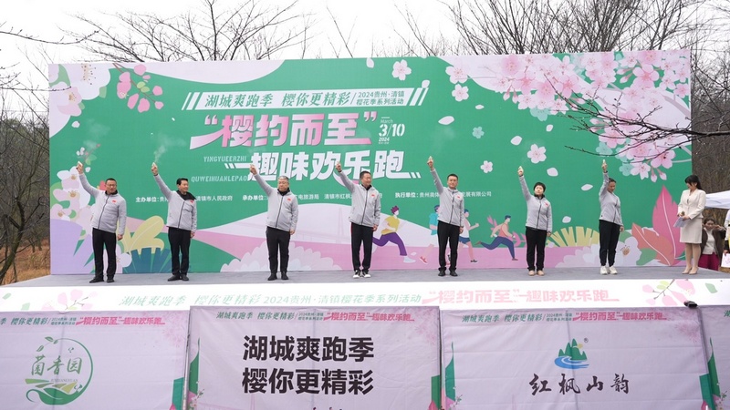 2024貴州·清鎮櫻花季系列活動“櫻約而至”趣味歡樂跑鳴槍開跑。彭克貴攝