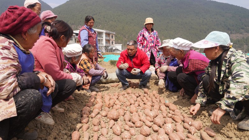 农技专家正在为村民提供技术指导.JPG