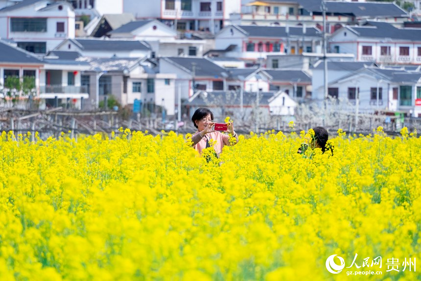 在油菜花中拍照的游客。人民网记者 涂敏摄