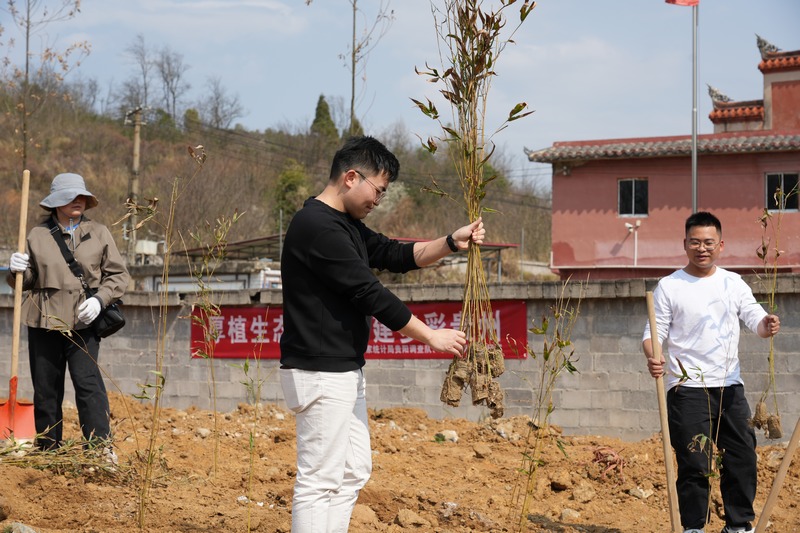 1.贵州双龙小碧乡开展义务植树活动现场.jpg