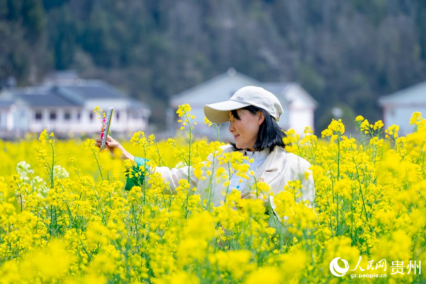 油菜花中拍照的游客。人民网记者 涂敏摄