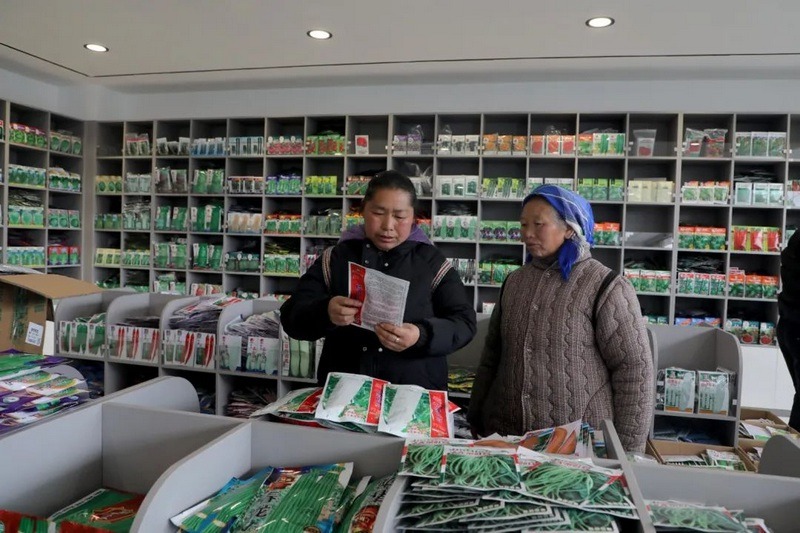 农户在贵州贵阳（观山湖）现代种业产业园店内选购种子。骆娅 摄