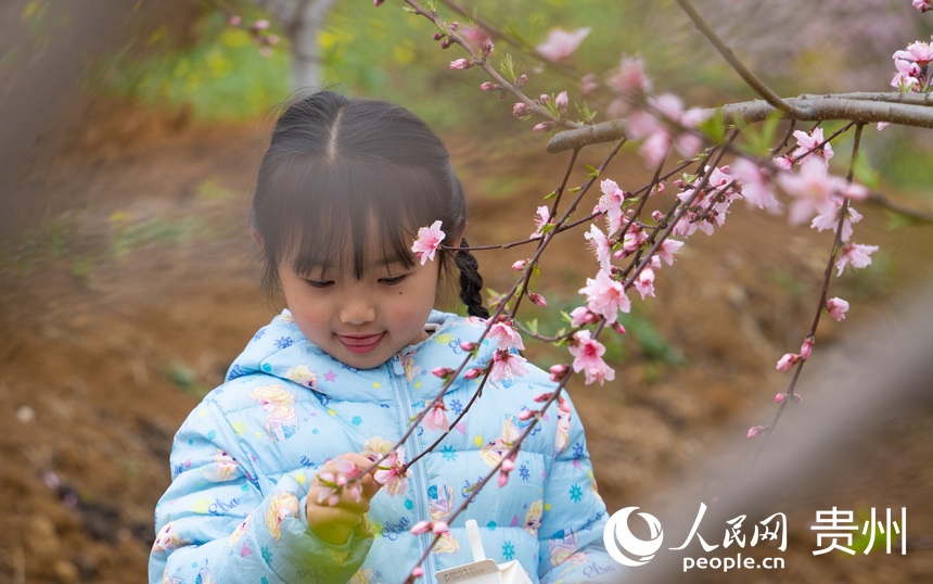 游客在桃花林中游玩赏花。人民网 阳茜摄